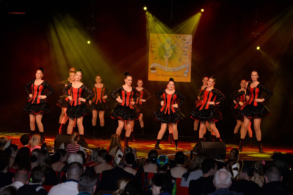 ../Images/Dansmariekefestival 2019 155.jpg